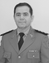 Tenente-Coronel Vianei