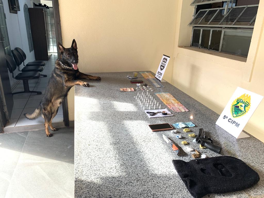 No Noroeste do Paraná, PM e PC cumprem sete Mandados de Busca e Apreensão durante a Operação Retomada