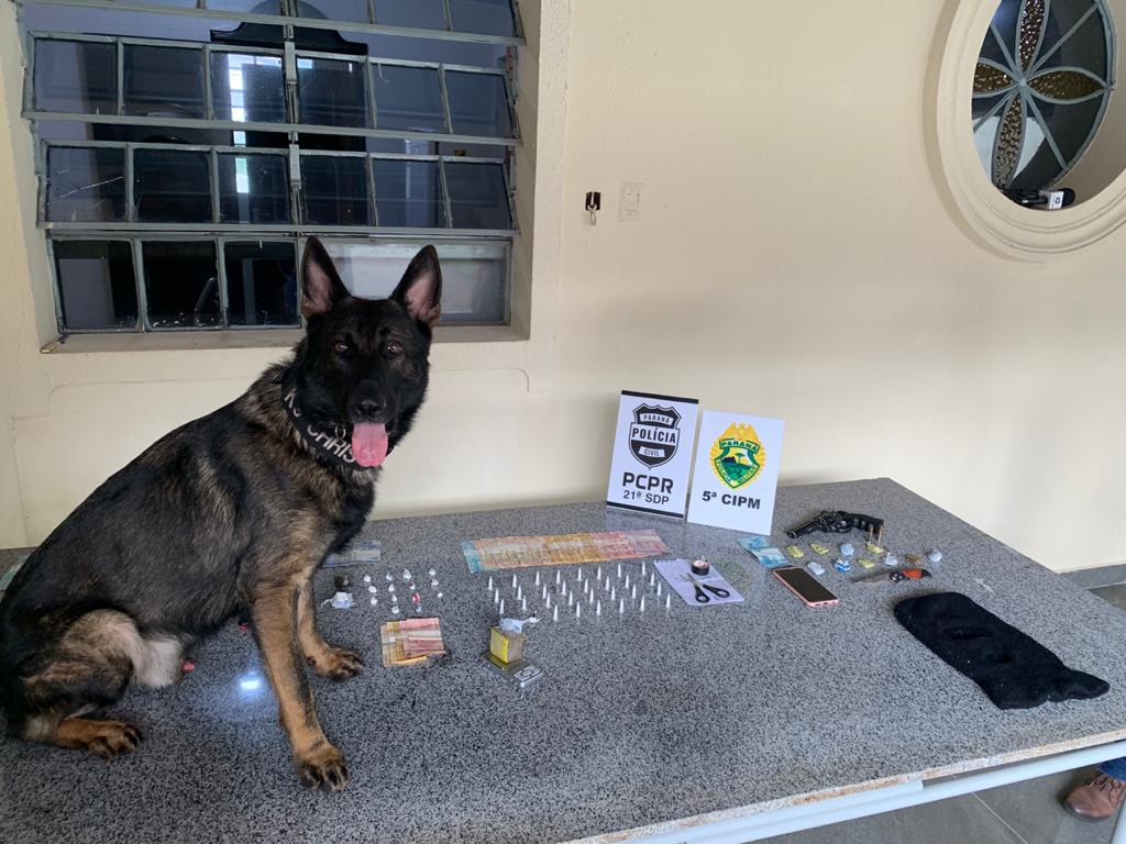 No Noroeste do Paraná, PM e PC cumprem sete Mandados de Busca e Apreensão durante a Operação Retomada