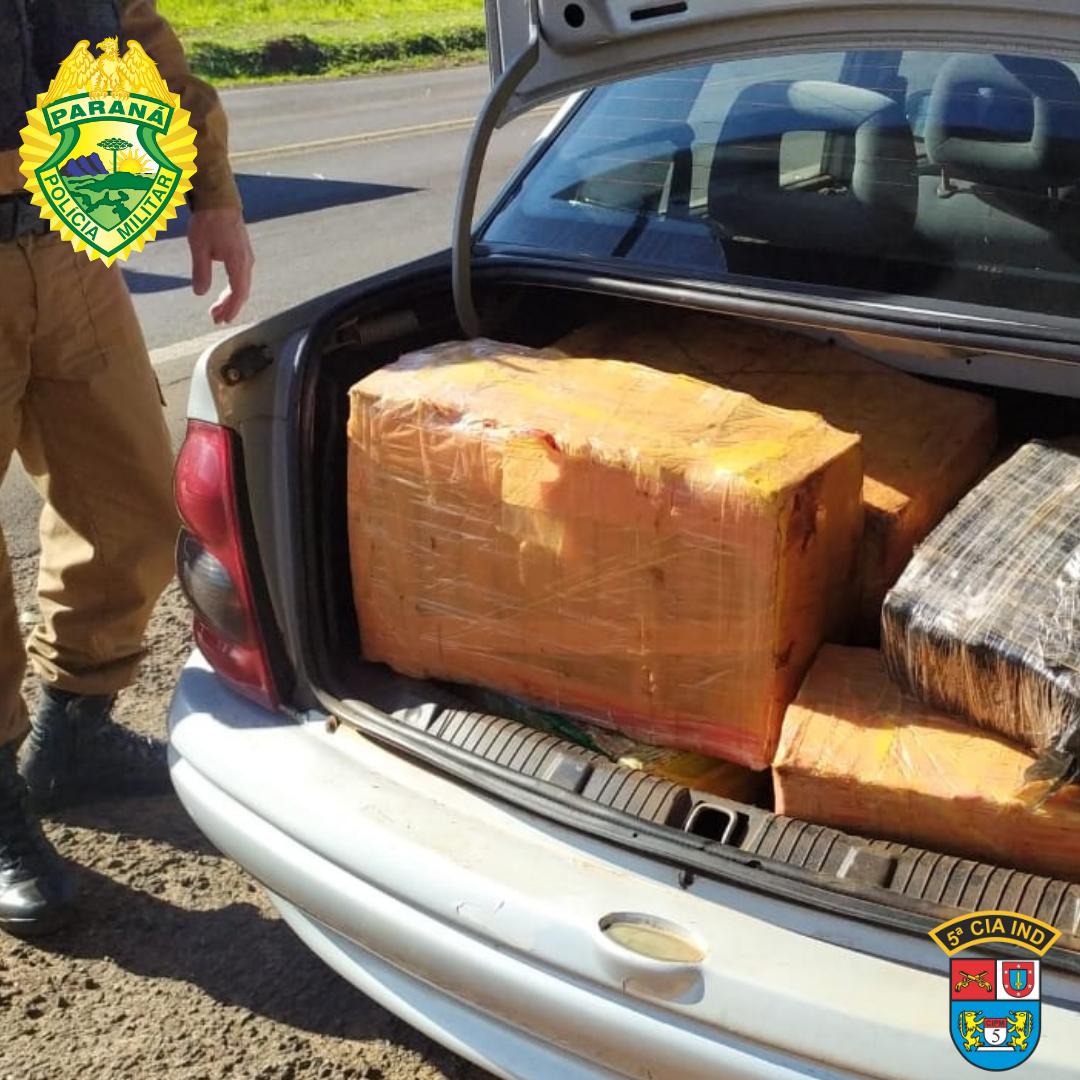 Quase 230 quilos de maconha são apreendidos pela PM em Cianorte (PR)