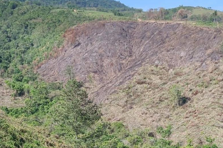 Operação Mata Atlântica em Pé aplicou R$ 15,6 milhões em multas por desmatamento ilegal