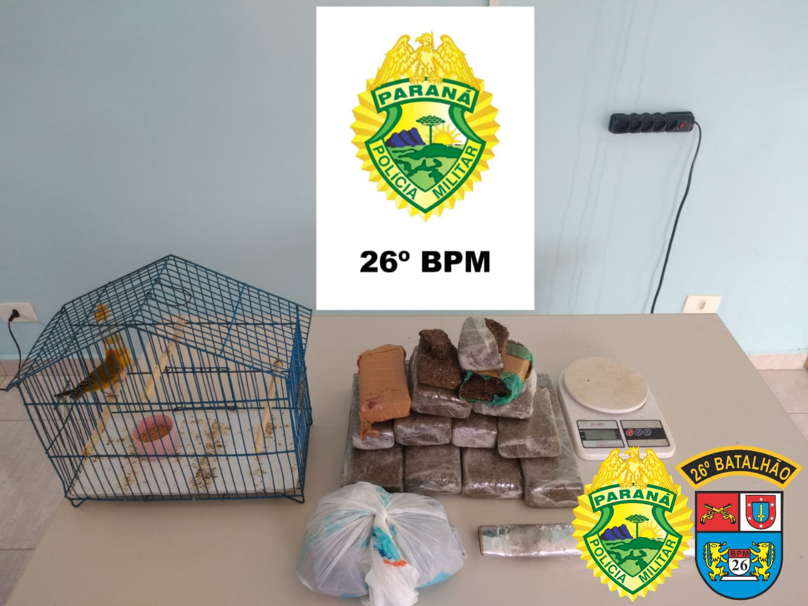 PM apreende mais de 6,4 quilos de maconha em situações distintas nos Campos Gerais do estado