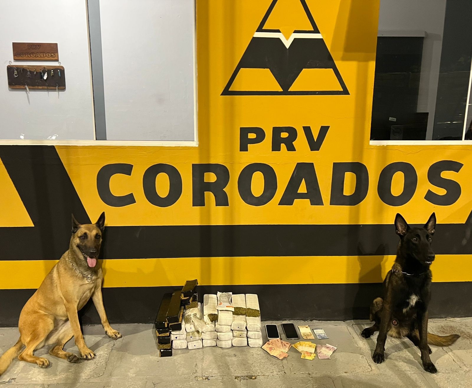 PMPR prende mulher que transportava mais de 20 quilos de maconha no litoral