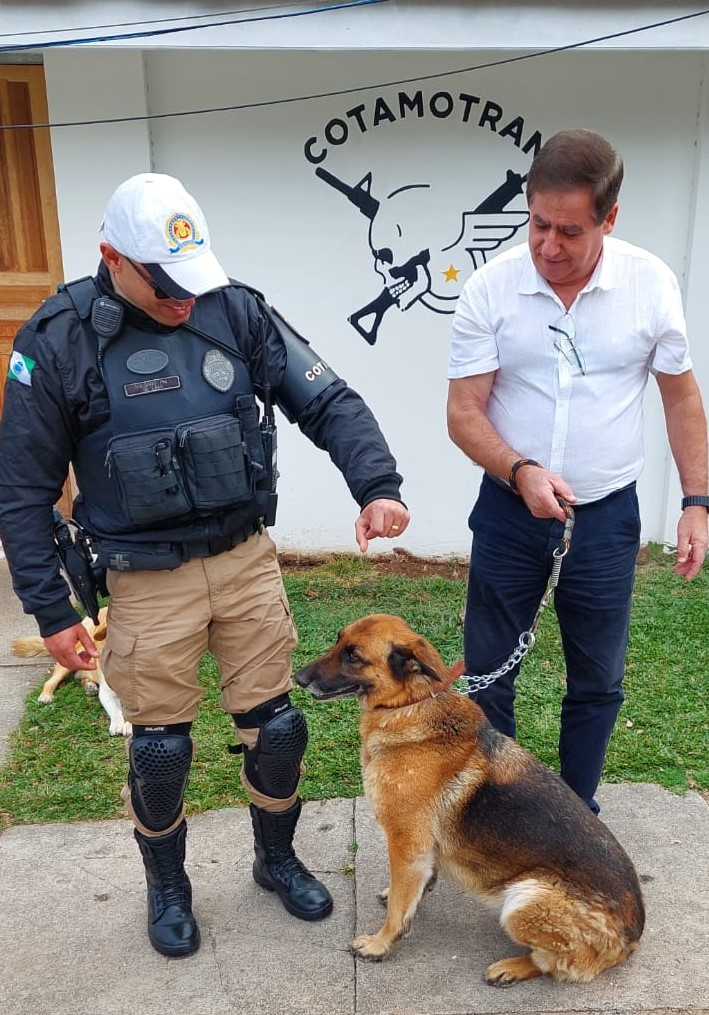 cão