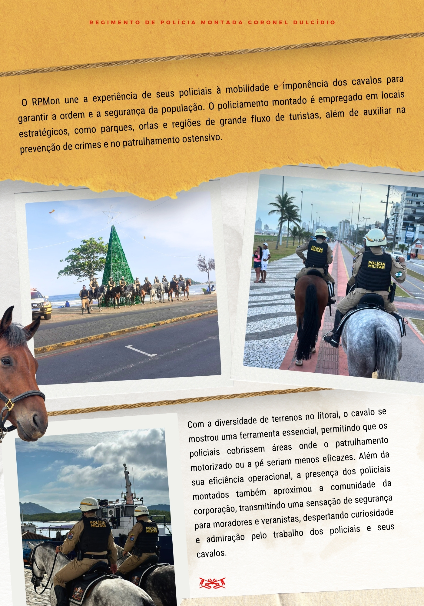 Ao longo de toda a operação, o informativo seguirá com divulgação semanal, destacando o trabalho técnico, humano e profissional dos homens e mulheres da PMPR