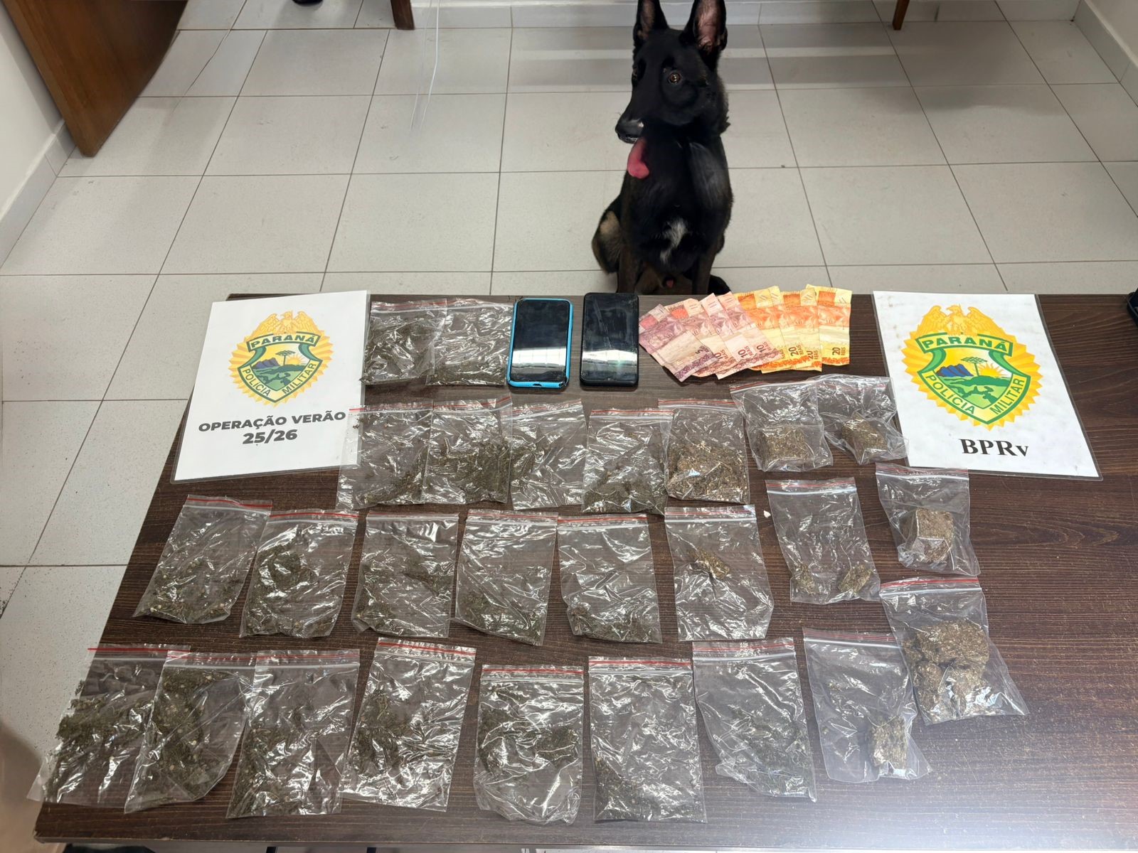 No interior do objeto foram encontradas 19 porções de maconha, totalizando 74 gramas, além da quantia de R$ 115,00 em dinheiro