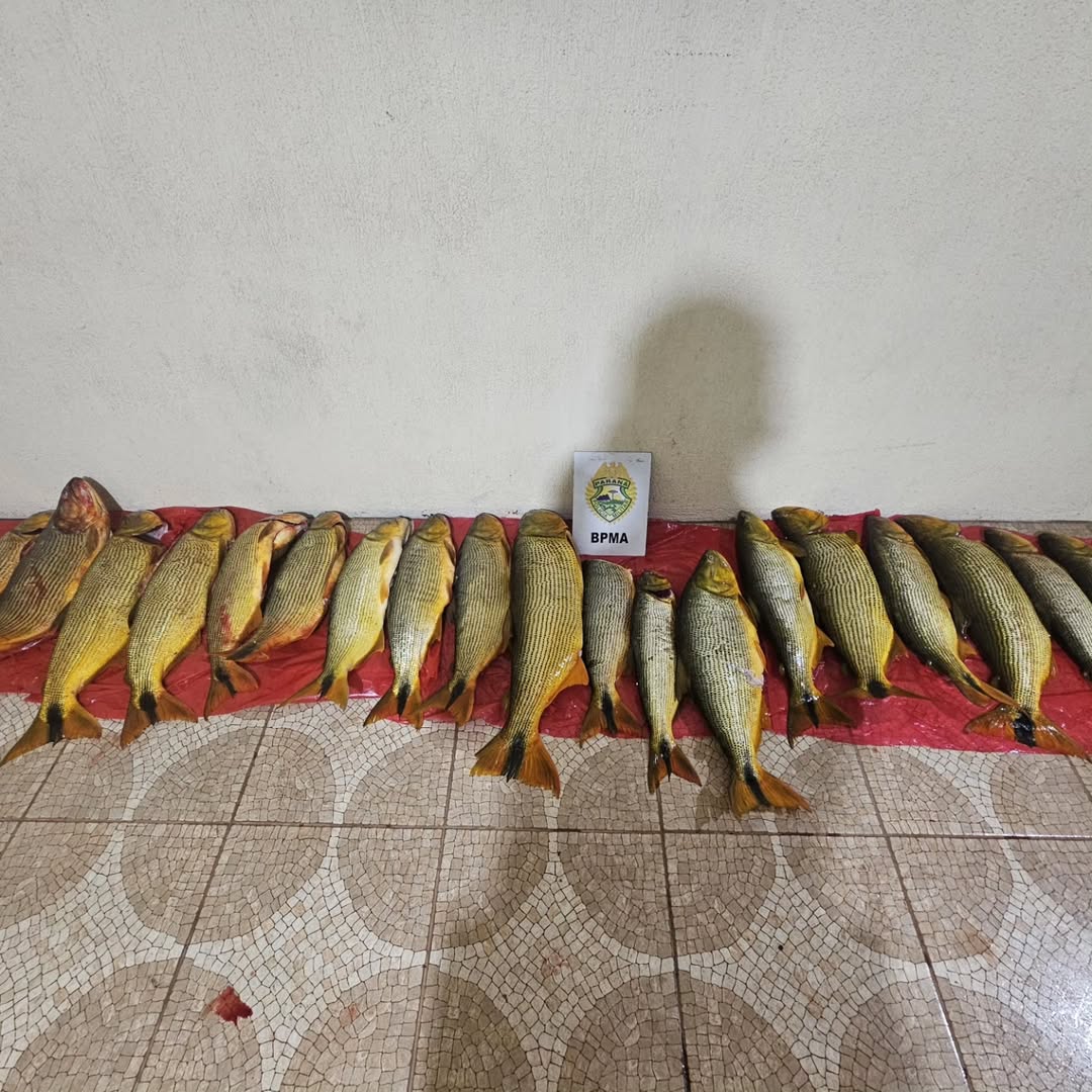 PMPR prende seis pessoas em Pinhão e apreende 92,6 kg de dourado, embarcações e arma de fogo em área proibida