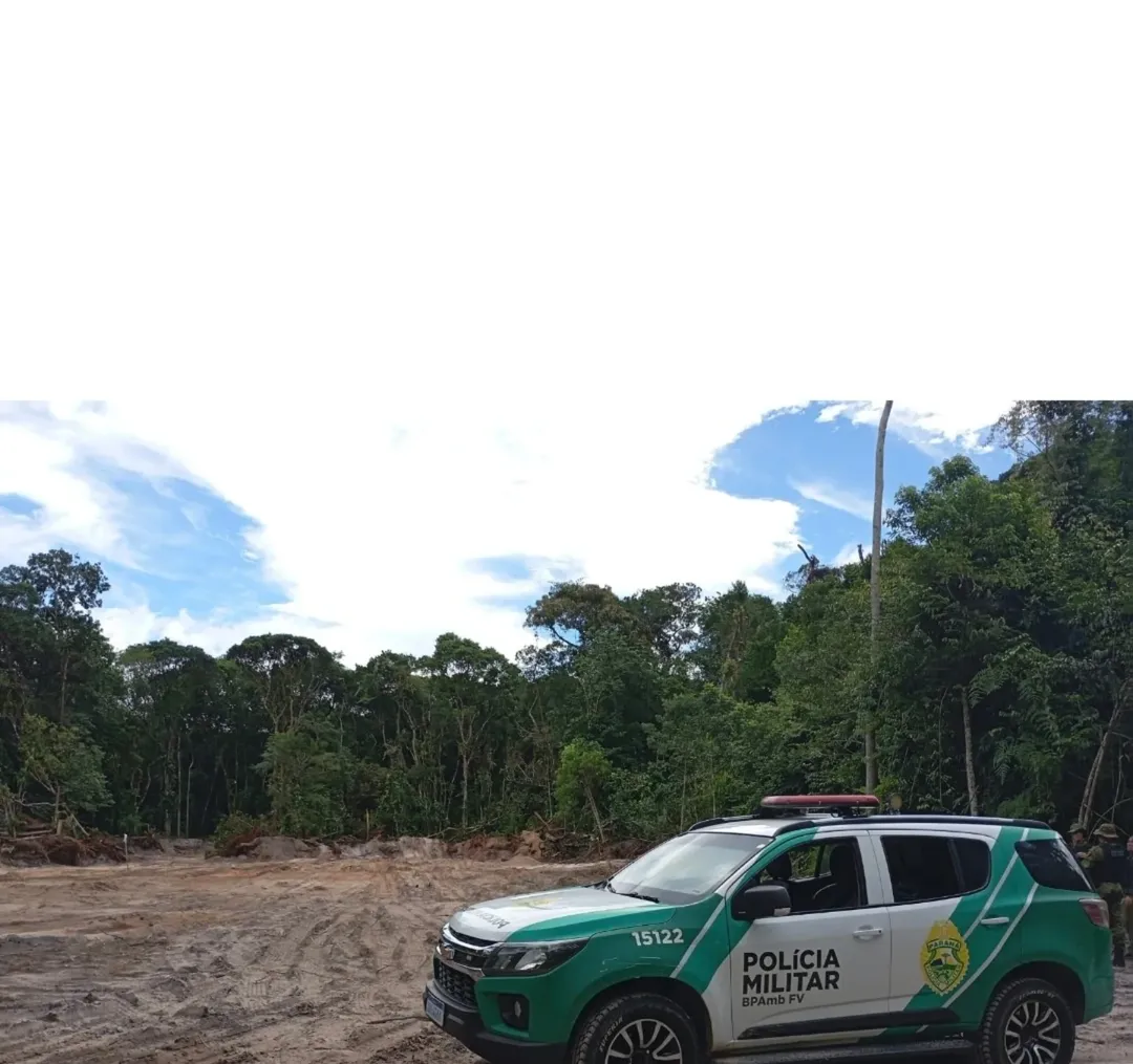 PMPR autua 14 pessoas por desmatamento irregular em área de vegetação nativa