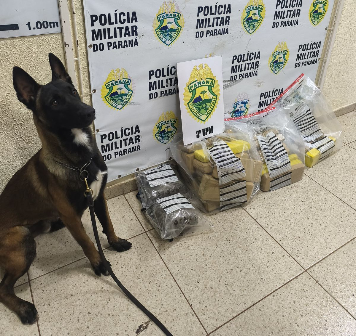 PMPR apreende mais de 29 quilos de maconha e prende três por tráfico em Pato Branco