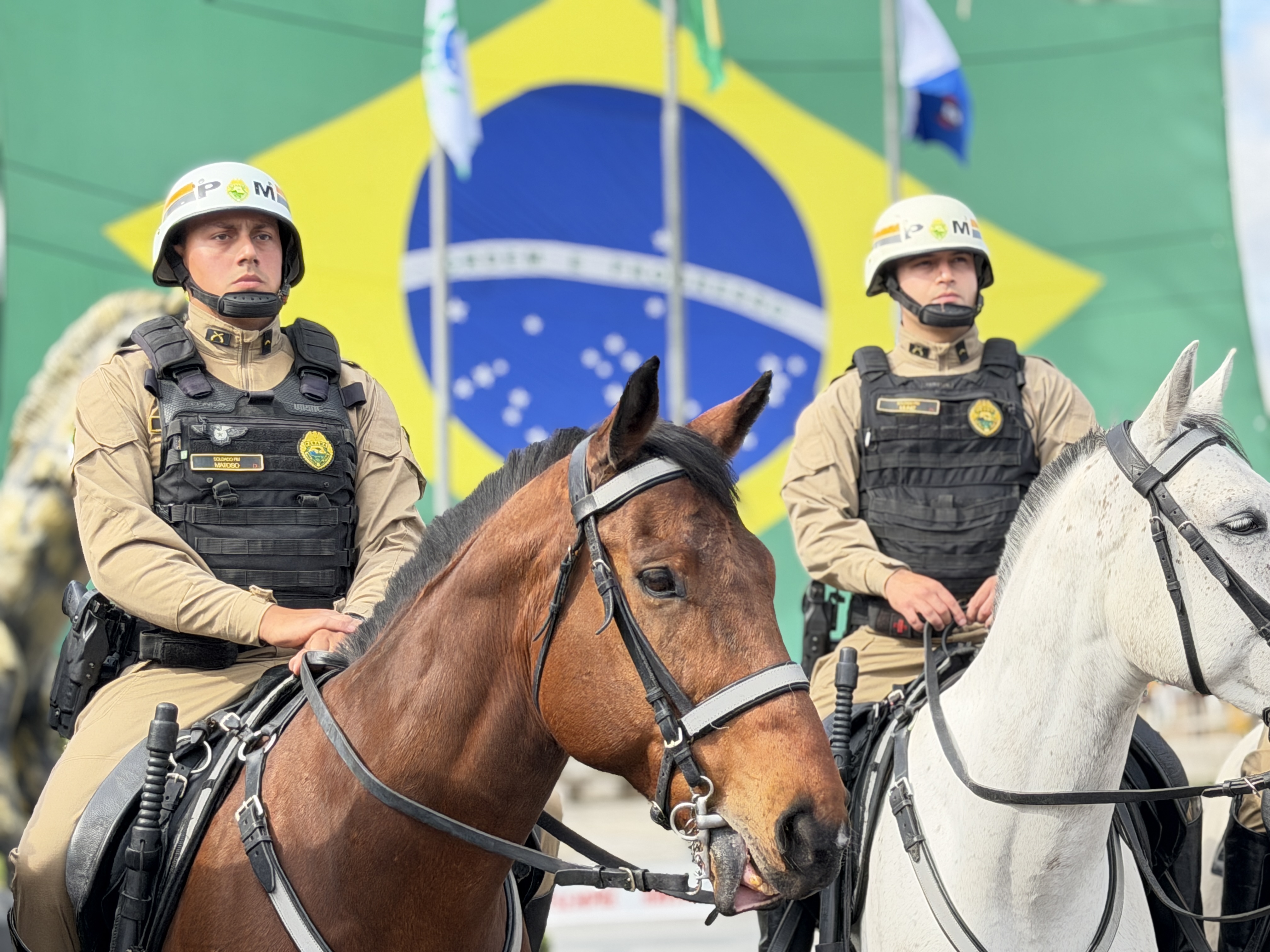  O evento reuniu autoridades militares e civis, veteranos, policiais da ativa, familiares e convidados para celebrar a trajetória da Cavalaria paranaense