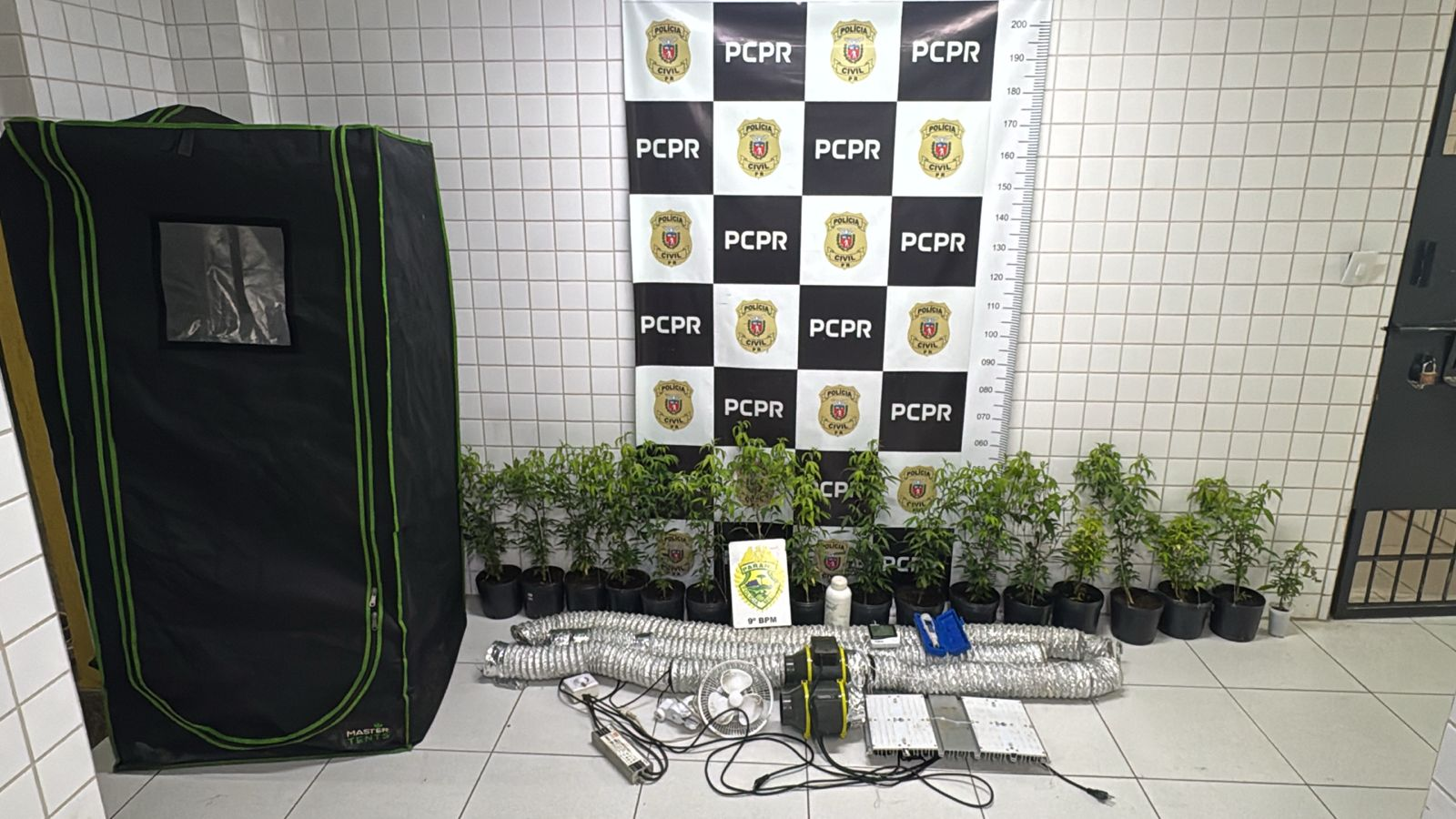PMPR localiza laboratório de cultivo de maconha em Matinhos