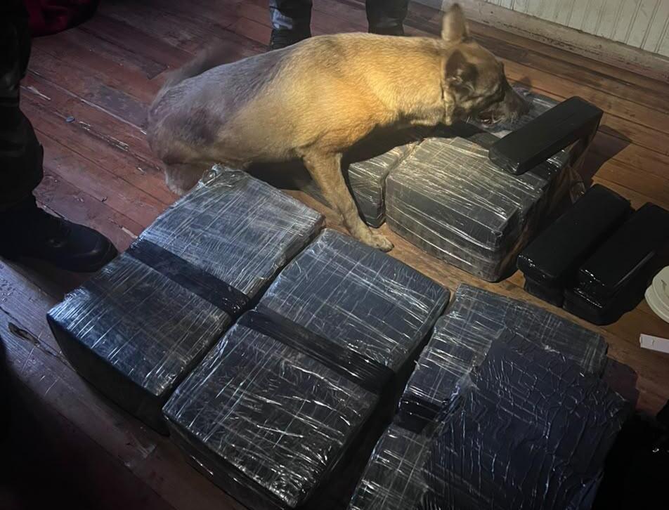PMPR e PCPR prendem oito pessoas e apreendem mais de 120 quilos de drogas em Cascavel