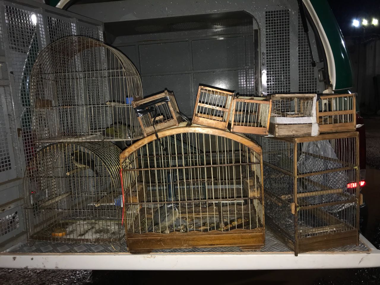 Polícia Militar prende cinco pessoas suspeitas de praticar caça em uma reserva indígena no Norte do Paraná