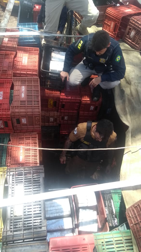 Em Cascavel, Patrulha Rural apreende 360 quilos de drogas