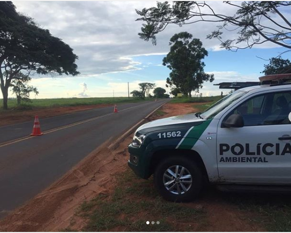 Ações da Polícia Ambiental combatem pesca predatória e retira redes e arma de fogo de circulação