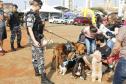 Equipe do Choque da PM de Ponta Grossa (PR) promove 1ª Cãominhada no Parque Ambiental