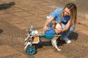 Equipe do Choque da PM de Ponta Grossa (PR) promove 1ª Cãominhada no Parque Ambiental