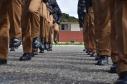 Almoço da Velha Guarda reúne 90 policiais militares da Reserva Remunerada na APMG 