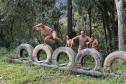 Desafio Soldado de Aço 2019 leva policiais e bombeiros militares ao extremo em competição no circuito Braves Mud Race, na RMC