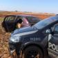 Mais de 300 quilos de maconha são apreendidos pelo BPFron no Oeste do estado
