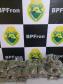 BPFron apreende quase 10 quilos de maconha em Guaíra (PR)