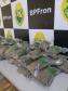 BPFron apreende quase 10 quilos de maconha em Guaíra (PR)