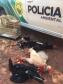 Galos que sofriam de maus tratos são resgatados pela PM em Paranavaí (PR), no Noroeste do estado