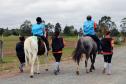 Regimento de Polícia Montada (RPMon) sedia o 2º Campeonato Paranaense de Paraenduro, no Haras da PM em Pinhais