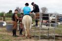 Regimento de Polícia Montada (RPMon) sedia o 2º Campeonato Paranaense de Paraenduro, no Haras da PM em Pinhais