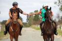 Regimento de Polícia Montada (RPMon) sedia o 2º Campeonato Paranaense de Paraenduro, no Haras da PM em Pinhais