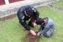 Comandante-Geral planta árvore em escola Estadual de Curitiba (PR) em prol do Projeto Paraná Mais Verde