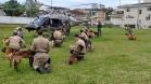 Policiais militares cinotécnicos do Paraná concluem o 1º Curso de Busca e Captura com Cães em Santa Catarina