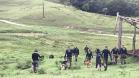 Policiais militares cinotécnicos do Paraná concluem o 1º Curso de Busca e Captura com Cães em Santa Catarina