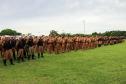 Mais de 240 policiais militares estão atuando na 2ª fase da Operação Todos Por um no bairro Cidade Industrial de Curitiba (CIC)