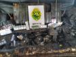Durante Operação Hórus, BPFron apreende diversos medicamentos contrabandeados no Oeste do estado