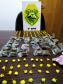  Mais de 150 unidades de maconha, crack e cocaína são apreendidas pela PM em Matinhos (PR) 