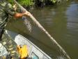 Polícia Ambiental apreende 10 tarrafas usadas para pescar camarão em Guaraqueçaba (PR)