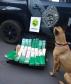 BPFron apreende mais de 26 quilos de maconha e cigarros contrabandeados em Toledo, no Oeste do estado