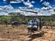 Helicóptero da PM auxilia PF na erradicação de 45 mil pés de maconha no Nordeste do estado