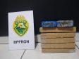 BPFron apreende cinco quilos de maconha durante ações da Operação Hórus no Oeste do estado
