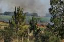 Incêndios ambientais crescem 33% no Paraná no 1.º trimestre