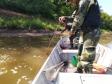 No Centro-Norte do estado, Polícia Ambiental apreende 147 quilos de peixe e redes de pesca