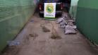 No Centro-Norte do estado, Polícia Ambiental apreende 147 quilos de peixe e redes de pesca