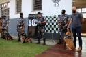 Cães de faro do BOPE se aposentam após 9 anos de atuação pelo BOPE; animais apreenderam mais de 2 toneladas de drogas