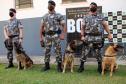 Cães de faro do BOPE se aposentam após 9 anos de atuação pelo BOPE; animais apreenderam mais de 2 toneladas de drogas