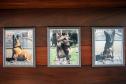 Cães de faro do BOPE se aposentam após 9 anos de atuação pelo BOPE; animais apreenderam mais de 2 toneladas de drogas