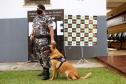 Cães de faro do BOPE se aposentam após 9 anos de atuação pelo BOPE; animais apreenderam mais de 2 toneladas de drogas