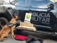 BPFron apreende mais de 5,4 toneladas de maconha e duplica apreensões de maconha no primeiro quadrimestre deste ano