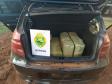 BPFron apreende mais de 5,4 toneladas de maconha e duplica apreensões de maconha no primeiro quadrimestre deste ano