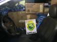 BPFron apreende 117 quilos de maconha e U$ 50 mil em notas no Oeste do estado
